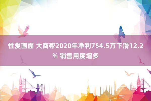 性爱画面 大商帮2020年净利754.5万下滑12.2% 销售用度增多