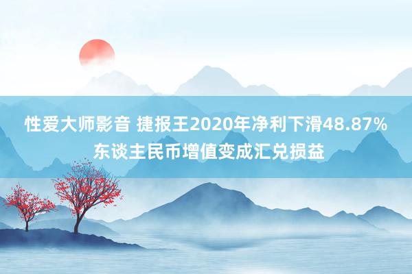 性爱大师影音 捷报王2020年净利下滑48.87% 东谈主民币增值变成汇兑损益