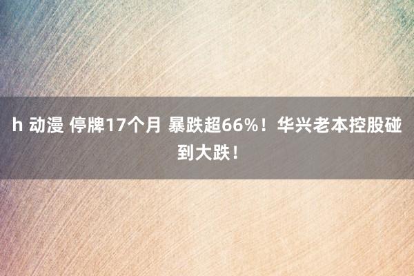 h 动漫 停牌17个月 暴跌超66%！华兴老本控股碰到大跌！