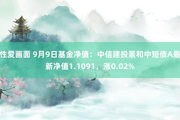 性爱画面 9月9日基金净值：中信建投景和中短债A最新净值1.1091，涨0.02%