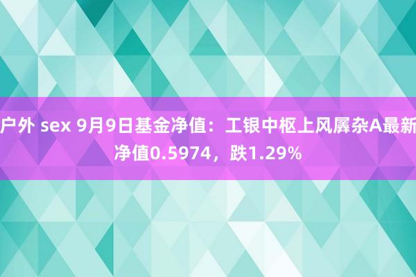 户外 sex 9月9日基金净值：工银中枢上风羼杂A最新净值0.5974，跌1.29%