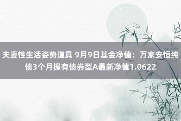 夫妻性生活姿势道具 9月9日基金净值：万家安恒纯债3个月握有债券型A最新净值1.0622