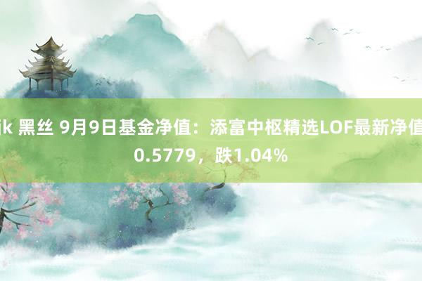 jk 黑丝 9月9日基金净值：添富中枢精选LOF最新净值0.5779，跌1.04%