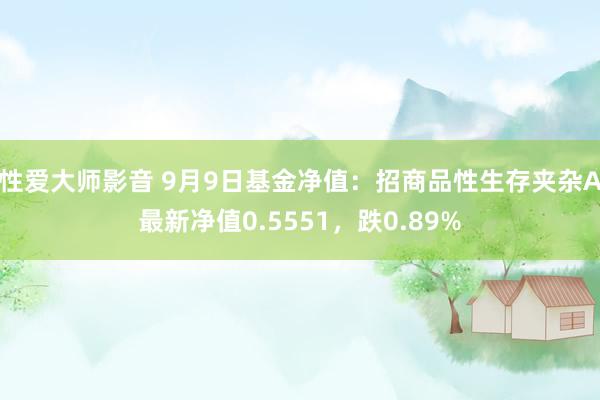 性爱大师影音 9月9日基金净值：招商品性生存夹杂A最新净值0.5551，跌0.89%