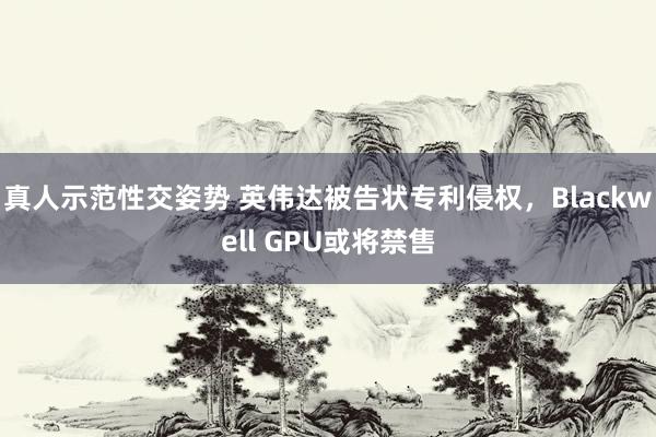 真人示范性交姿势 英伟达被告状专利侵权，Blackwell GPU或将禁售