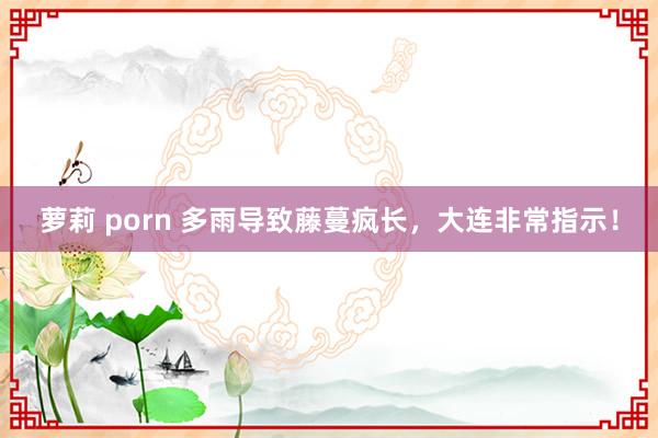 萝莉 porn 多雨导致藤蔓疯长，大连非常指示！