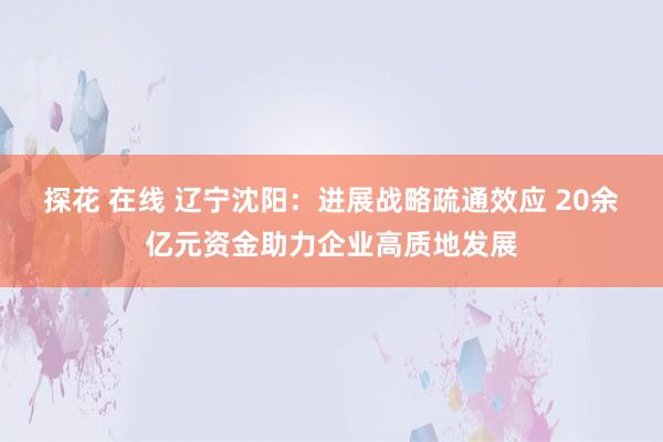 探花 在线 辽宁沈阳：进展战略疏通效应 20余亿元资金助力企业高质地发展