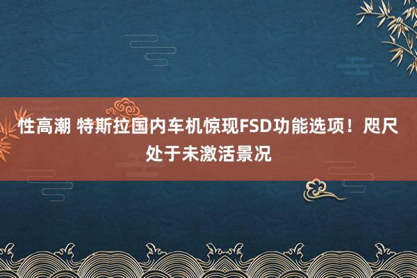 性高潮 特斯拉国内车机惊现FSD功能选项！咫尺处于未激活景况