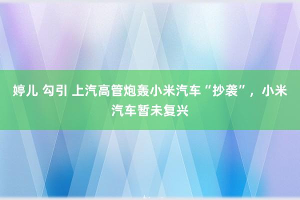 婷儿 勾引 上汽高管炮轰小米汽车“抄袭”，小米汽车暂未复兴