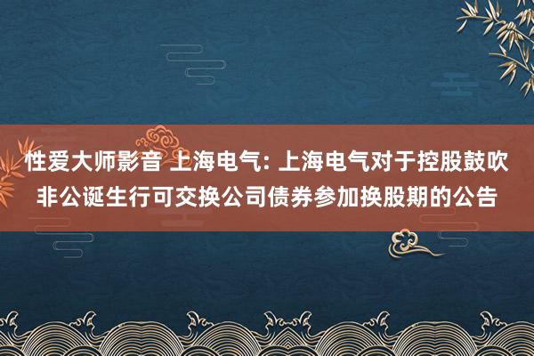 性爱大师影音 上海电气: 上海电气对于控股鼓吹非公诞生行可交换公司债券参加换股期的公告