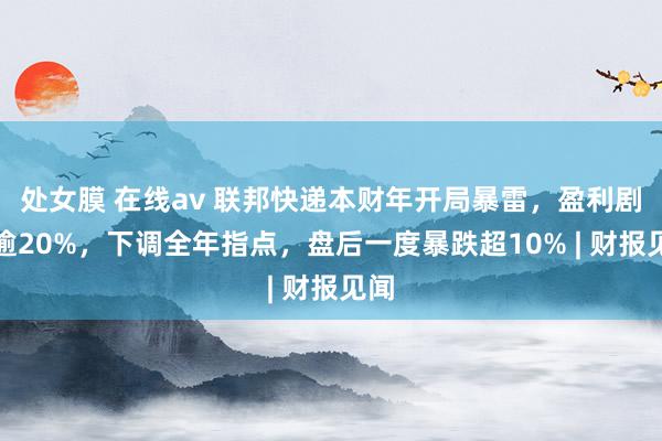 处女膜 在线av 联邦快递本财年开局暴雷，盈利剧减逾20%，下调全年指点，盘后一度暴跌超10% | 财报见闻