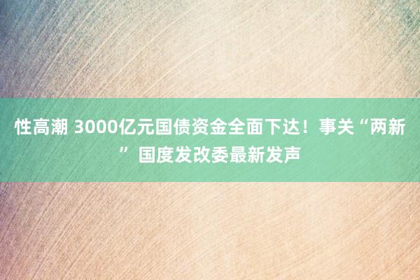 性高潮 3000亿元国债资金全面下达！事关“两新” 国度发改委最新发声