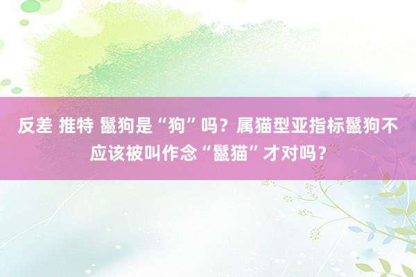 反差 推特 鬣狗是“狗”吗？属猫型亚指标鬣狗不应该被叫作念“鬣猫”才对吗？