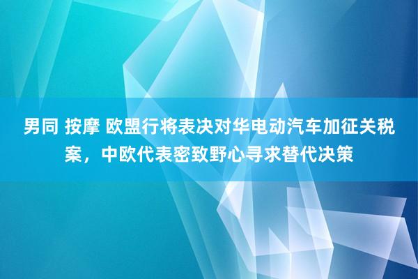 男同 按摩 欧盟行将表决对华电动汽车加征关税案，中欧代表密致野心寻求替代决策