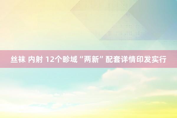 丝袜 内射 12个畛域“两新”配套详情印发实行