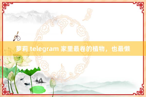 萝莉 telegram 家里最卷的植物，也最懒