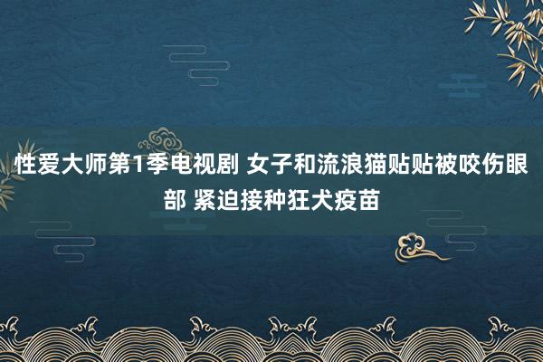 性爱大师第1季电视剧 女子和流浪猫贴贴被咬伤眼部 紧迫接种狂犬疫苗