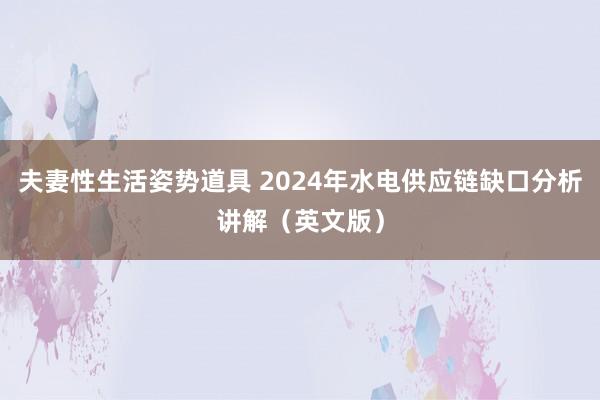 夫妻性生活姿势道具 2024年水电供应链缺口分析讲解（英文版）