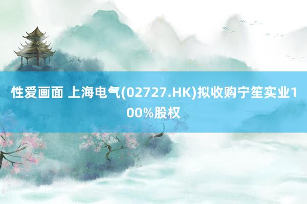 性爱画面 上海电气(02727.HK)拟收购宁笙实业100%股权