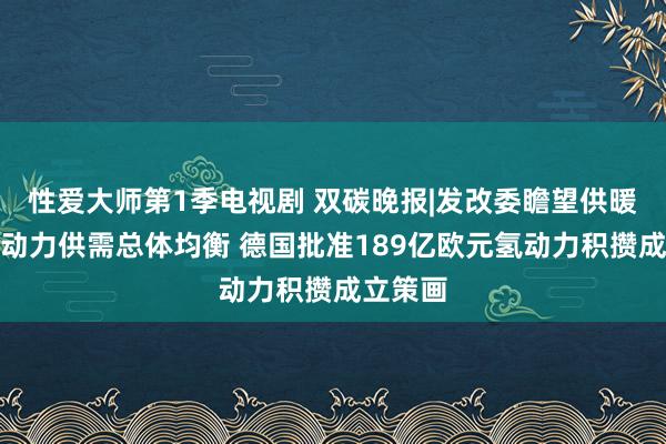 性爱大师第1季电视剧 双碳晚报|发改委瞻望供暖季时代动力供需总体均衡 德国批准189亿欧元氢动力积攒成立策画