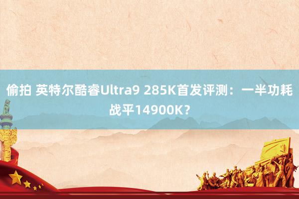 偷拍 英特尔酷睿Ultra9 285K首发评测：一半功耗战平14900K？