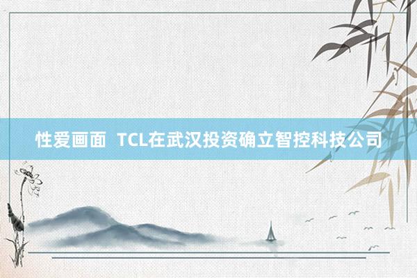 性爱画面  TCL在武汉投资确立智控科技公司