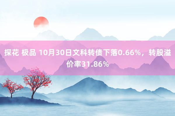 探花 极品 10月30日文科转债下落0.66%，转股溢价率31.86%