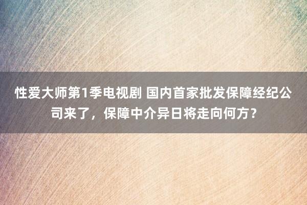 性爱大师第1季电视剧 国内首家批发保障经纪公司来了，保障中介异日将走向何方？