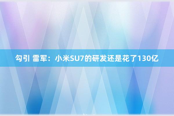 勾引 雷军：小米SU7的研发还是花了130亿