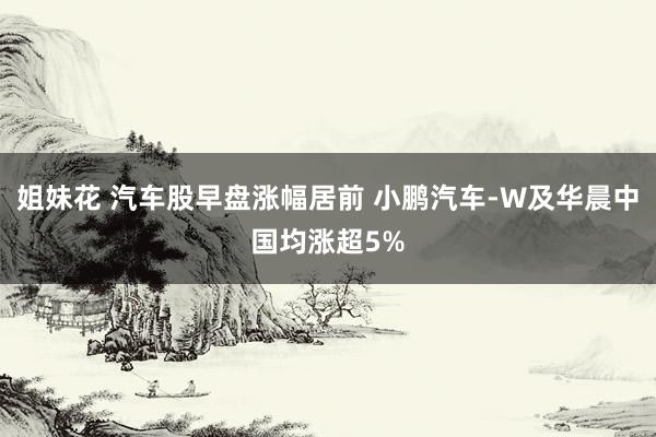 姐妹花 汽车股早盘涨幅居前 小鹏汽车-W及华晨中国均涨超5%