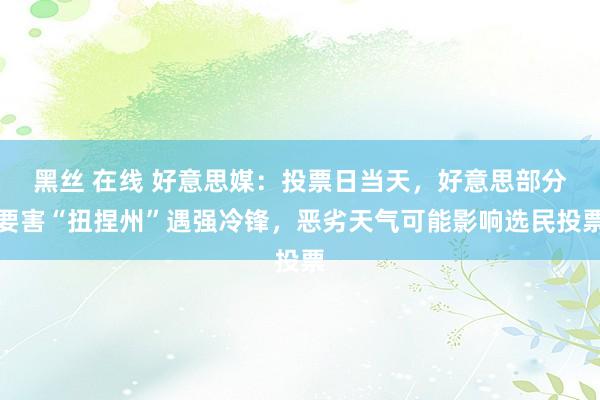 黑丝 在线 好意思媒：投票日当天，好意思部分要害“扭捏州”遇强冷锋，恶劣天气可能影响选民投票