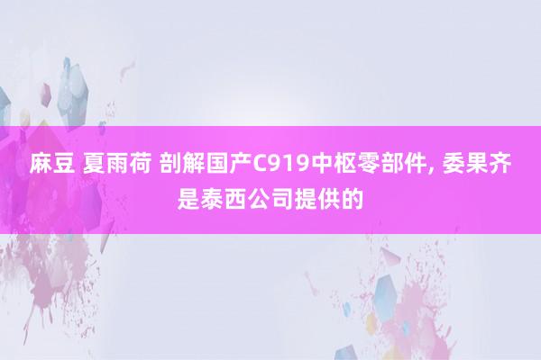 麻豆 夏雨荷 剖解国产C919中枢零部件， 委果齐是泰西公司提供的