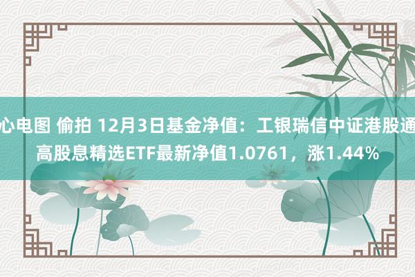 心电图 偷拍 12月3日基金净值：工银瑞信中证港股通高股息精选ETF最新净值1.0761，涨1.44%