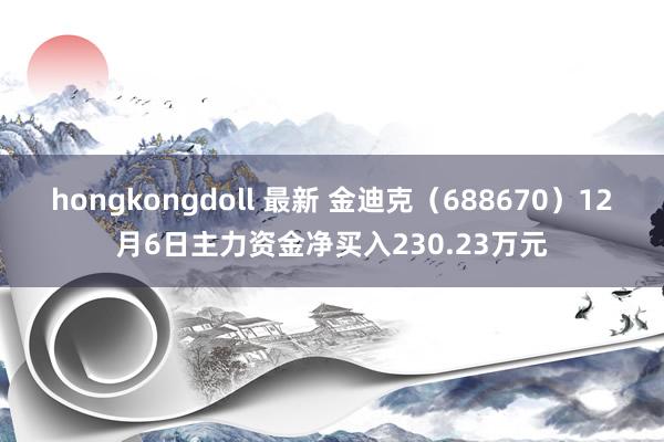 hongkongdoll 最新 金迪克（688670）12月6日主力资金净买入230.23万元