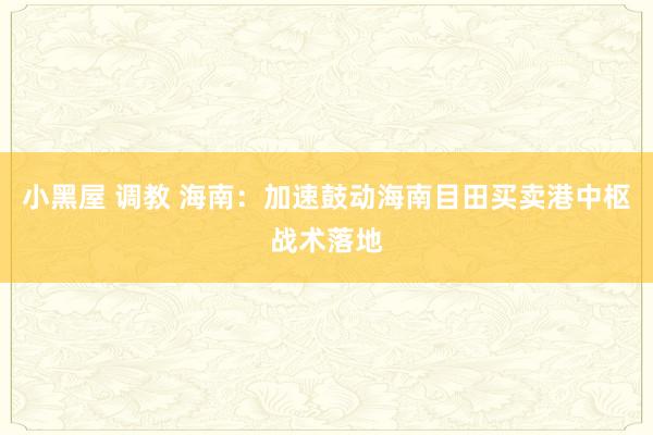 小黑屋 调教 海南：加速鼓动海南目田买卖港中枢战术落地