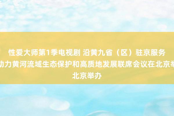 性爱大师第1季电视剧 沿黄九省（区）驻京服务处助力黄河流域生态保护和高质地发展联席会议在北京举办