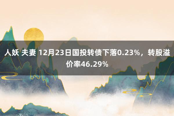 人妖 夫妻 12月23日国投转债下落0.23%，转股溢价率46.29%