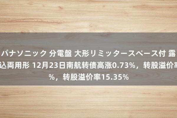 パナソニック 分電盤 大形リミッタースペース付 露出・半埋込両用形 12月23日南航转债高涨0.73%，转股溢价率15.35%