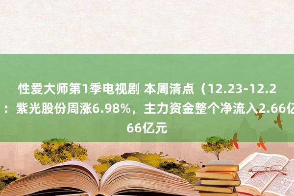 性爱大师第1季电视剧 本周清点（12.23-12.27）：紫光股份周涨6.98%，主力资金整个净流入2.66亿元