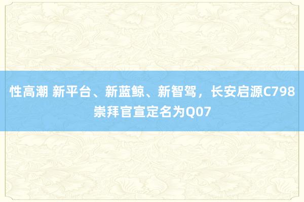 性高潮 新平台、新蓝鲸、新智驾，长安启源C798崇拜官宣定名为Q07