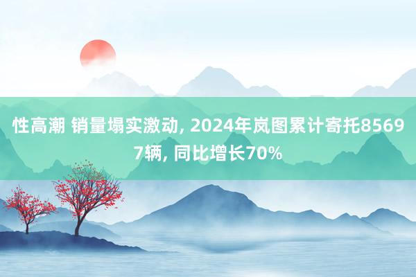 性高潮 销量塌实激动， 2024年岚图累计寄托85697辆， 同比增长70%