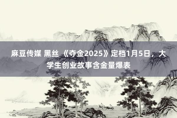 麻豆传媒 黑丝 《夺金2025》定档1月5日，大学生创业故事含金量爆表