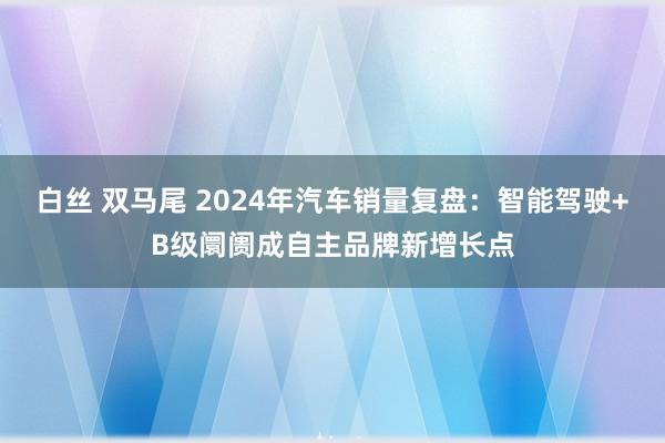 白丝 双马尾 2024年汽车销量复盘：智能驾驶+B级阛阓成自主品牌新增长点