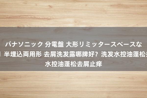 パナソニック 分電盤 大形リミッタースペースなし 露出・半埋込両用形 去屑洗发露哪牌好？洗发水控油蓬松去屑止痒