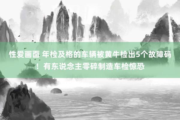 性爱画面 年检及格的车辆被黄牛检出5个故障码！有东说念主零碎制造车检惊恐