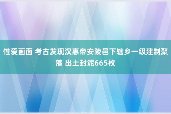 性爱画面 考古发现汉惠帝安陵邑下辖乡一级建制聚落 出土封泥665枚