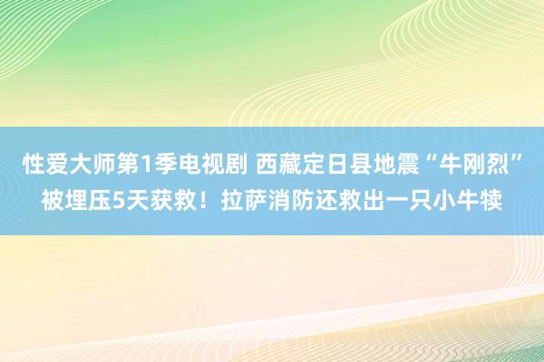 性爱大师第1季电视剧 西藏定日县地震“牛刚烈”被埋压5天获救！拉萨消防还救出一只小牛犊