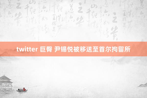 twitter 巨臀 尹锡悦被移送至首尔拘留所