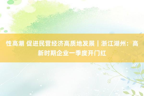 性高潮 促进民营经济高质地发展｜浙江湖州：高新时期企业一季度开门红