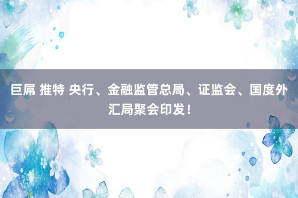 巨屌 推特 央行、金融监管总局、证监会、国度外汇局聚会印发！
